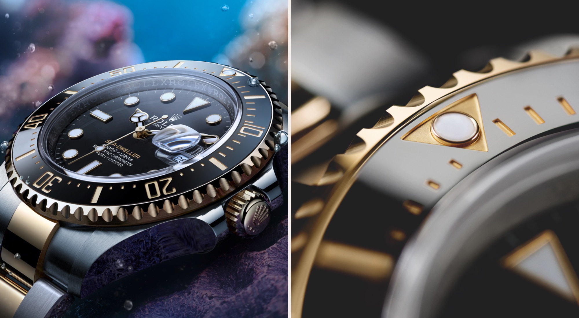Rolex Sea-Dweller腕錶-寶鴻堂鐘表